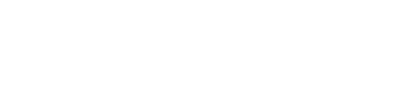 Tesan Logo